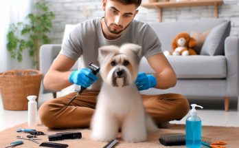 How to Groom a Dog at Home: 4 Game-Changing Steps