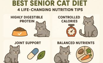 4 Essential Senior Cat Diet Secrets for Vibrant Health