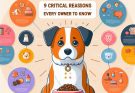 Dog Not Eating? 9 Critical Reasons Every Owner Must Know